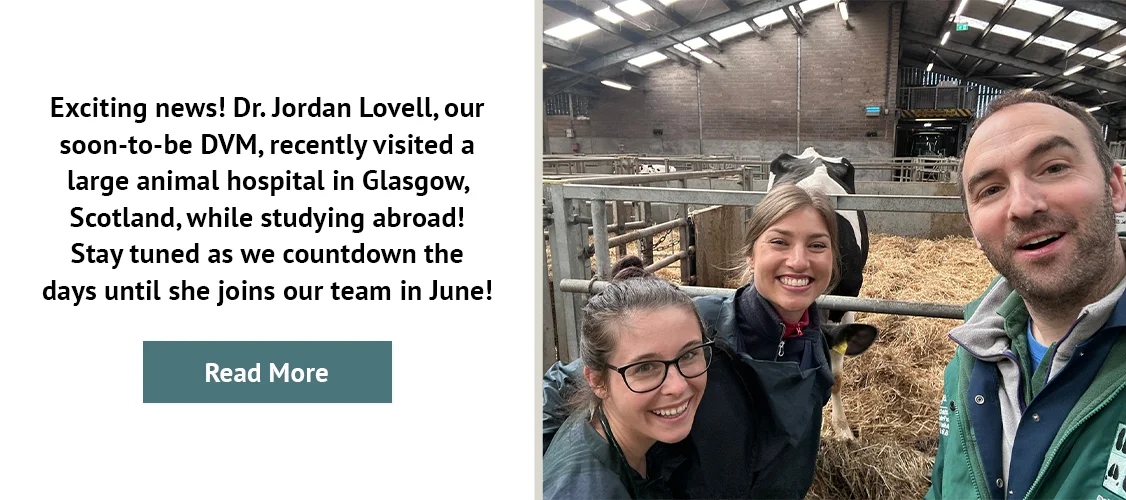 Dr. Jordan Lovell, our soon-to-be DVM, recently visited a large animal hospital in Glasgow, Scotland, while studying abroad! Stay tuned as we countdown the days until she joins our team in June!